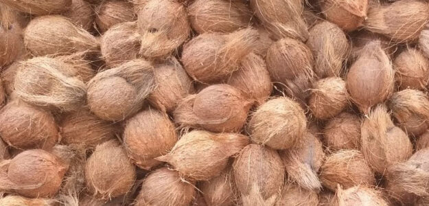 PANNAIYAR EXPORTS AND IMPORTS