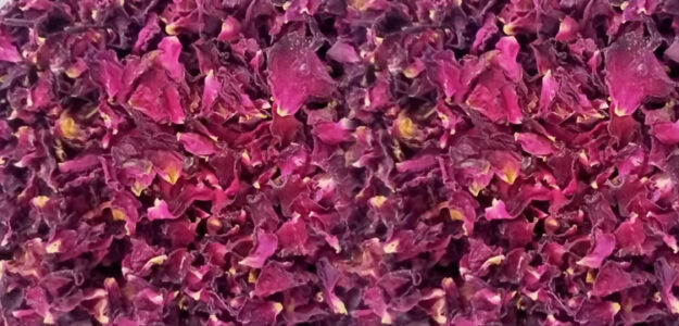 INDRAJEET DRIED FLOWERS